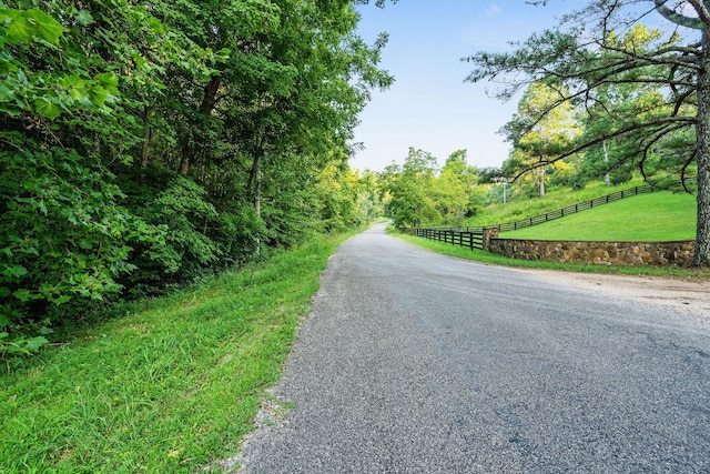 0 Skelley Rd, Santa Fe, TN 38482 - photo 9
