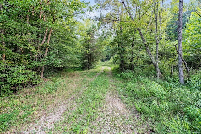 0 Skelley Rd, Santa Fe, TN 38482 - photo 11