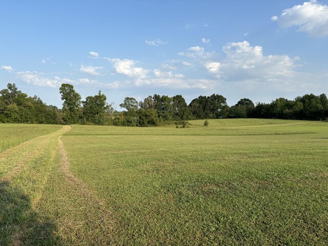 view of yard with a rural view