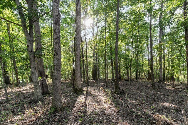 0 Southall, Franklin, TN 37064 - photo 9