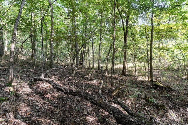 0 Southall, Franklin, TN 37064 - photo 10