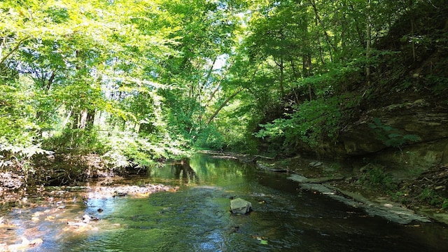 view of landscape