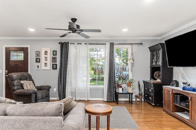 living room with ceiling fan, crown molding, and light hardwood / wood-style flooring