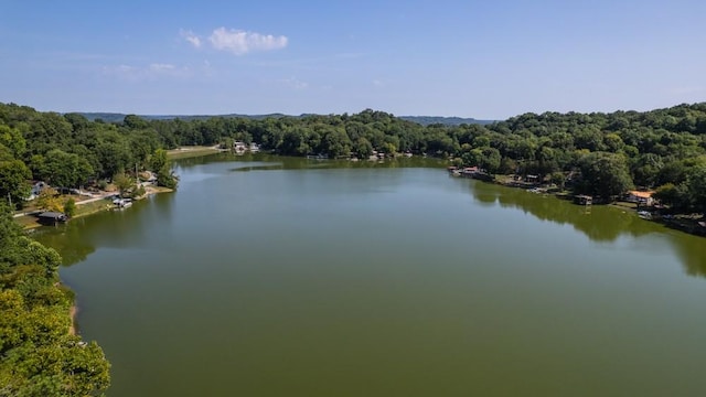 view of water feature with a wooded view