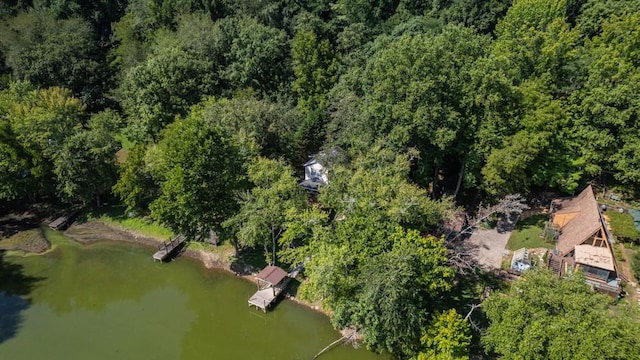 aerial view with a water view and a view of trees