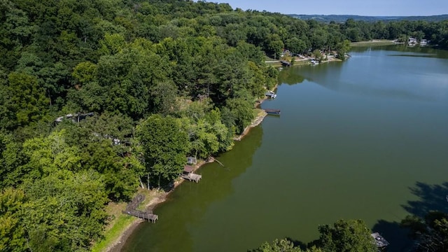 aerial view featuring a water view and a forest view