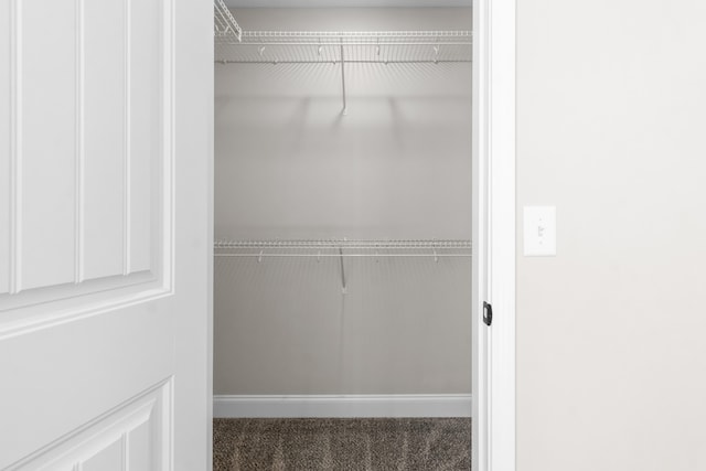 spacious closet with carpet