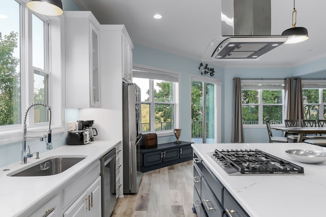 kitchen featuring light hardwood / wood-style flooring, hanging light fixtures, white cabinets, sink, and stainless steel appliances