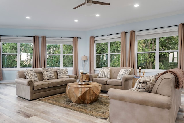 living room with ceiling fan, light hardwood / wood-style flooring, and ornamental molding