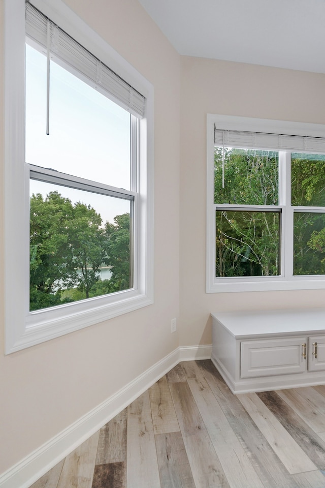 empty room with light hardwood / wood-style floors