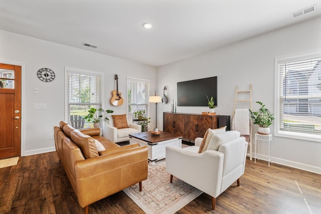 living room with hardwood / wood-style floors