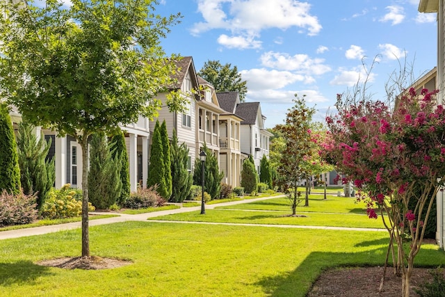 view of home's community with a lawn