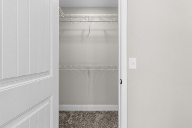 spacious closet featuring carpet flooring