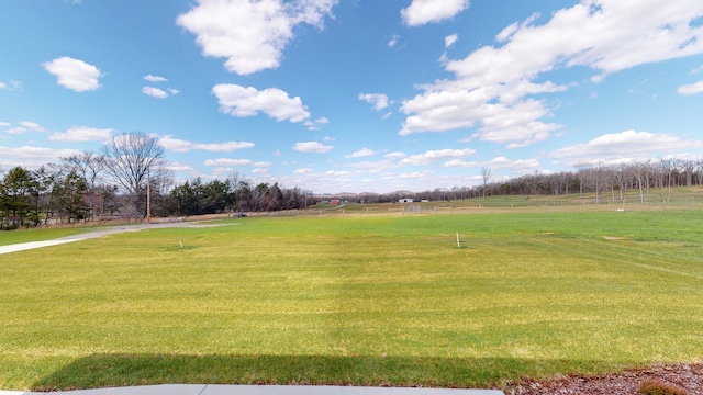 view of yard featuring a rural view