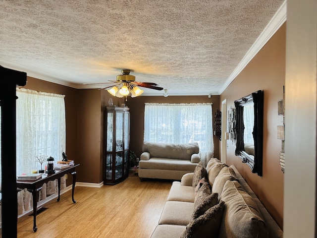 living room featuring light hardwood / wood-style floors, crown molding, ceiling fan, and a textured ceiling