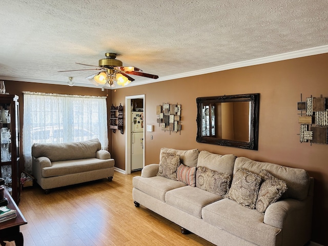 living room with a textured ceiling, light hardwood / wood-style flooring, ceiling fan, and crown molding