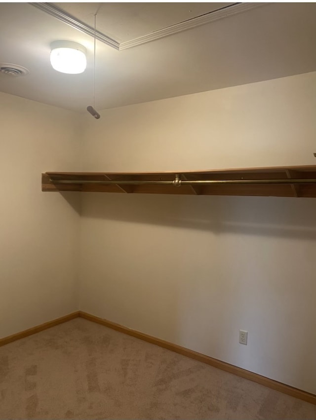 spacious closet with carpet flooring