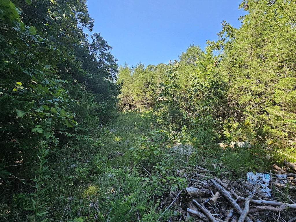 0 Underwood Rd, Mount Juliet, TN 37122 - photo 1