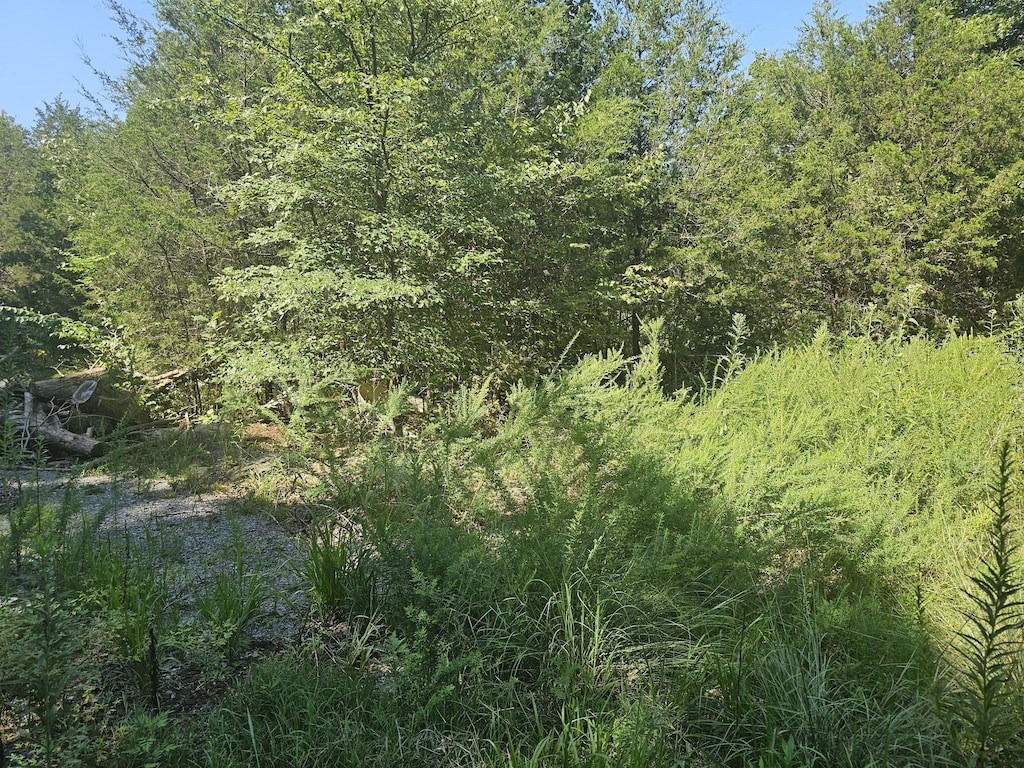 0 Underwood Rd, Mount Juliet, TN 37122 - photo 2