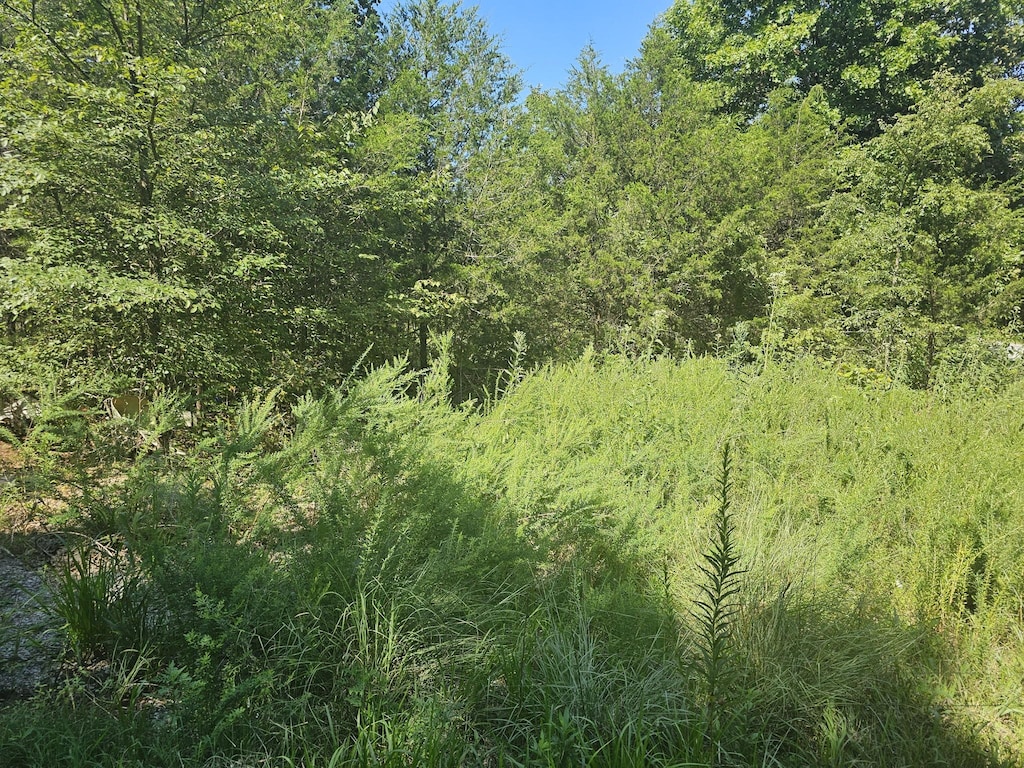 0 Underwood Rd, Mount Juliet, TN 37122 - photo 3