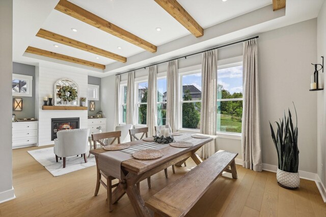 dining space featuring plenty of natural light and light hardwood / wood-style flooring