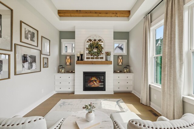 living area with a tray ceiling, hardwood / wood-style floors, and a healthy amount of sunlight