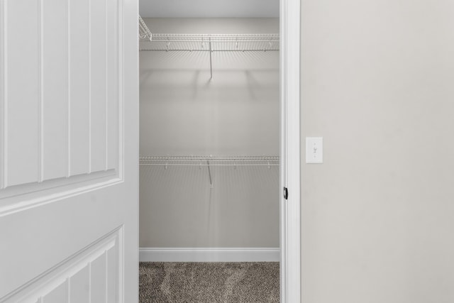 203 W Fallow Ct, Clarksville, TN 37040 - view of closet