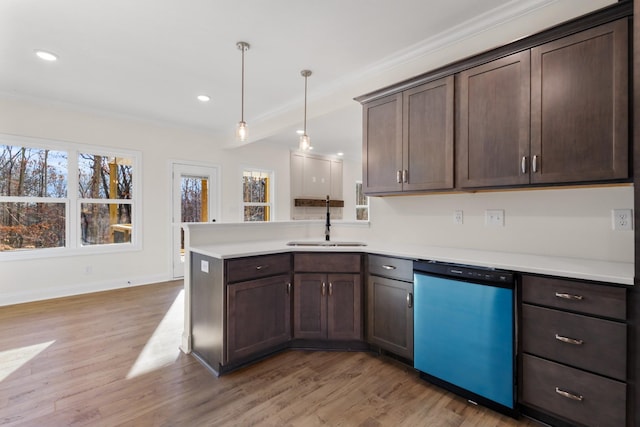 kitchen with sink, stainless steel dishwasher, decorative light fixtures, and light hardwood / wood-style flooring