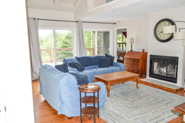 living room with a textured ceiling, light hardwood / wood-style flooring, and lofted ceiling