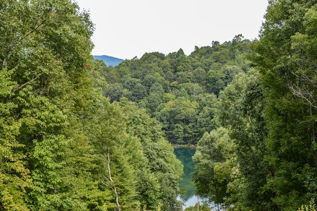 property view of mountains featuring a water view