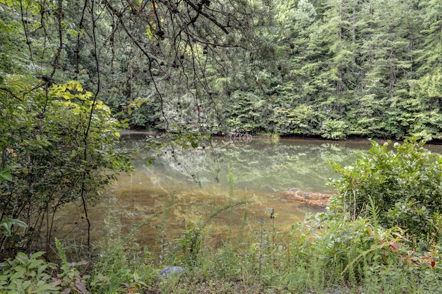 view of water feature