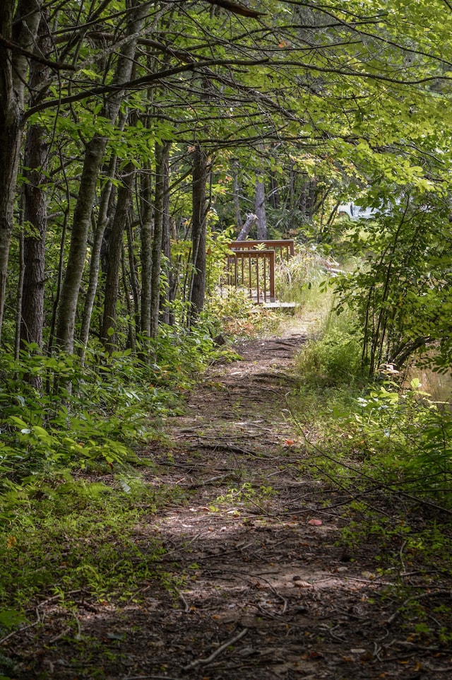 view of nature