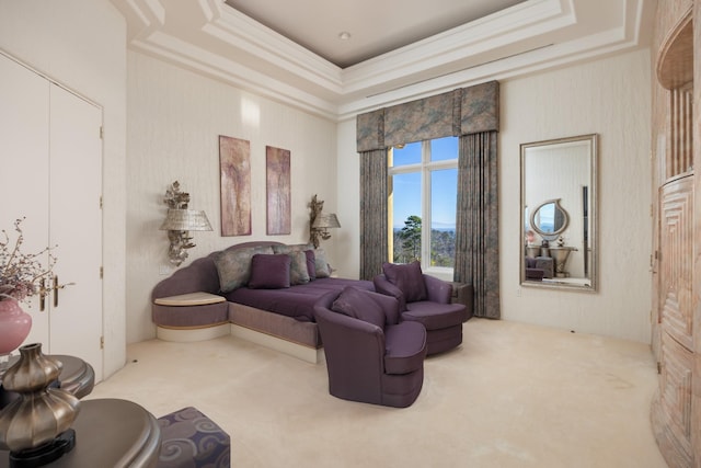 carpeted bedroom featuring a tray ceiling and ornamental molding