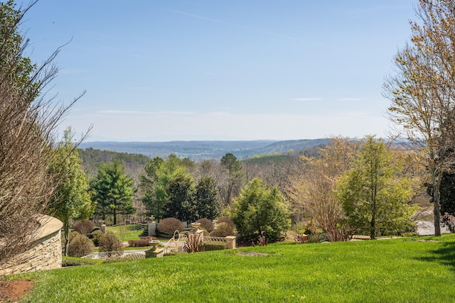 view of mountain feature with a forest view