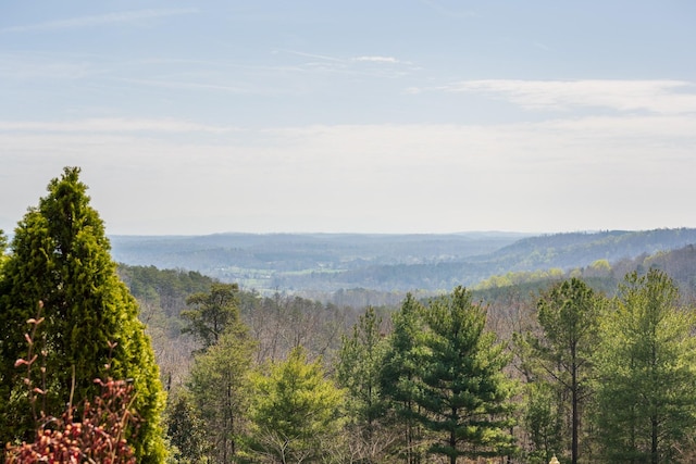 view of mountain feature with a wooded view