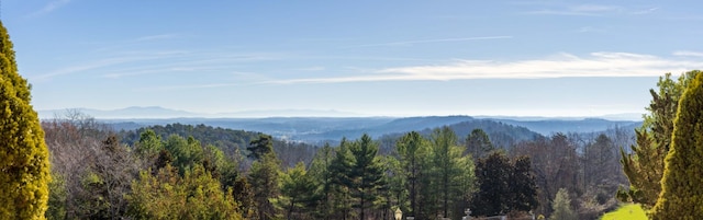 mountain view featuring a forest view