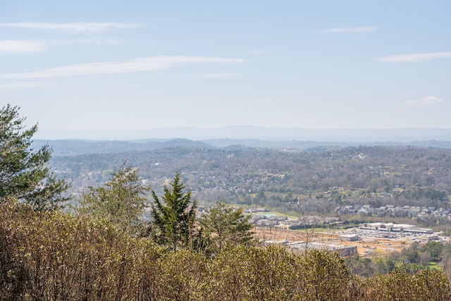 view of mountain feature