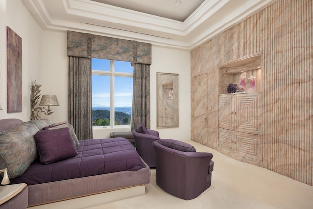 carpeted bedroom with a raised ceiling and a mountain view