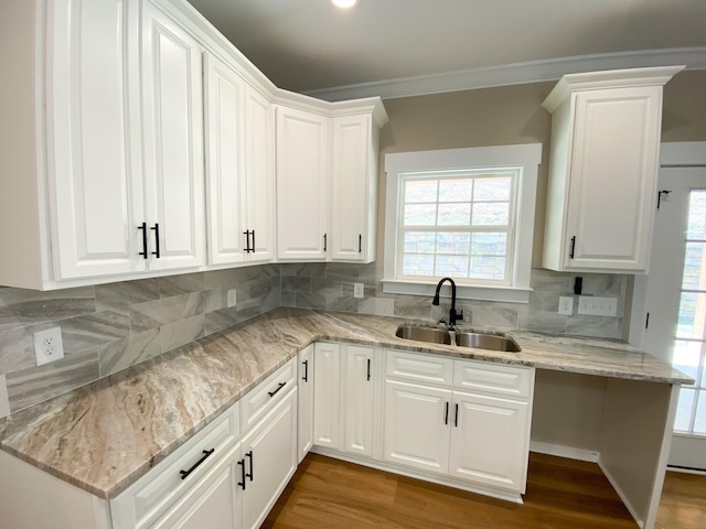 kitchen with wood finished floors, a sink, white cabinetry, ornamental molding, and tasteful backsplash