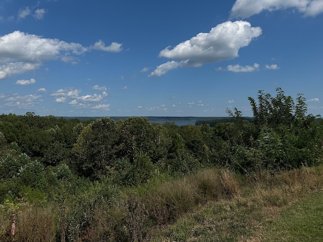 view of local wilderness