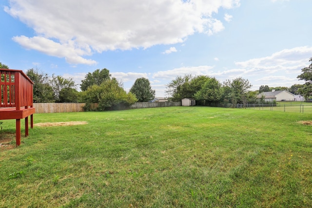 view of yard featuring a shed