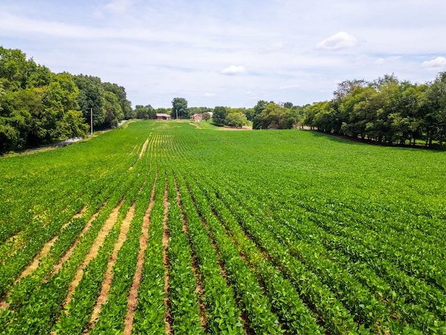 view of yard featuring a rural view