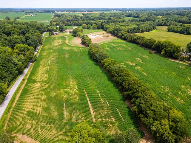 5016 Caney Sink Rd, Adams, TN 37010 - overview of rural landscape with rows of crops