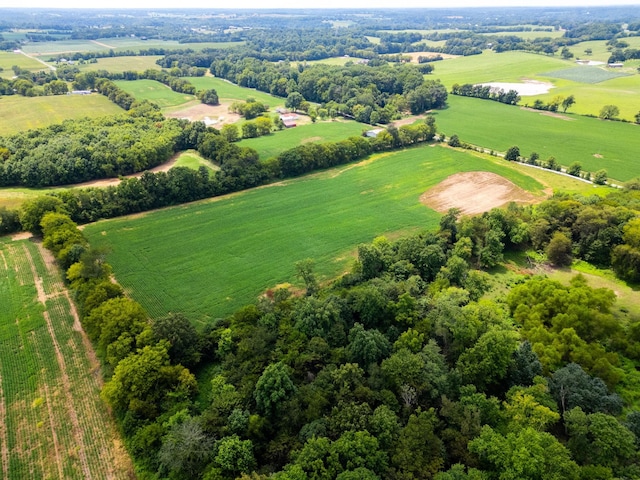 5016 Caney Sink Rd, Adams, TN 37010 - overview of rural landscape
