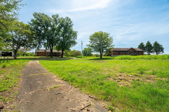 5016 Caney Sink Rd, Adams, TN 37010 - view of yard