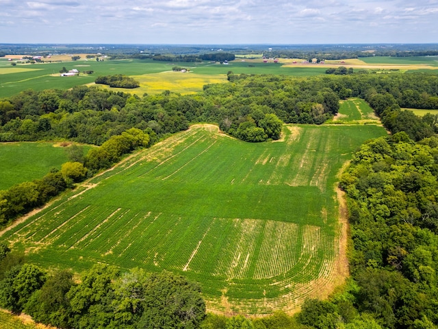 birds eye view of property with a rural view