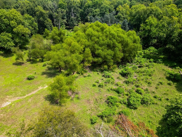 5016 Caney Sink Rd, Adams, TN 37010 - drone / aerial view of a forest