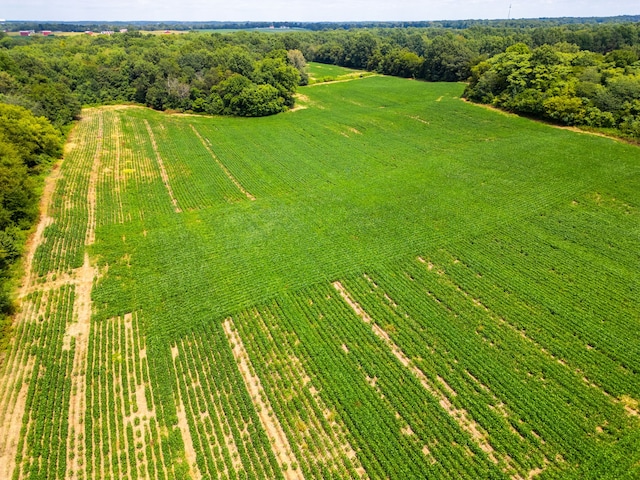 bird's eye view with a rural view