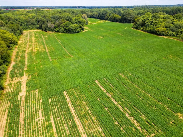 5016 Caney Sink Rd, Adams, TN 37010 - overview of rural landscape featuring large plots for crops