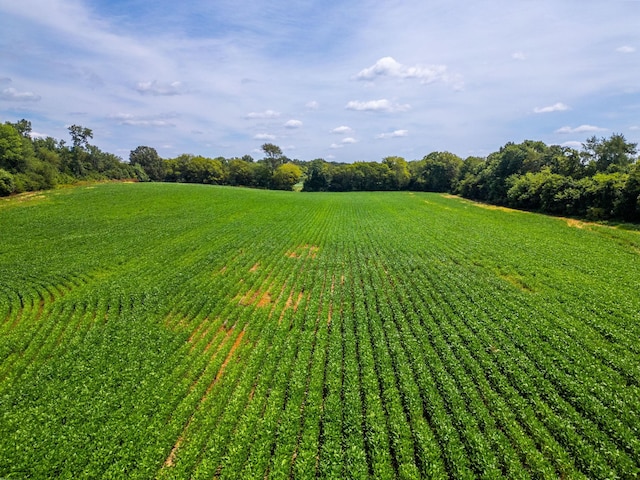 5016 Caney Sink Rd, Adams, TN 37010 - view of grassy yard with agricultural area and a rural view